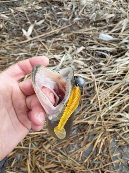 Хмуро и серо, но на рыбалку все равно Хмуро и серо, но на рыбалку все равно