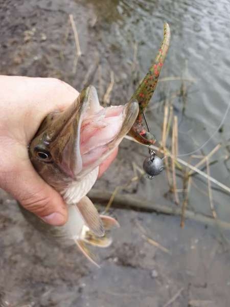 Хмуро и серо, но на рыбалку все равно Хмуро и серо, но на рыбалку все равно