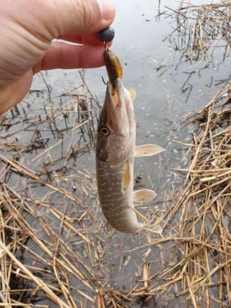 Хмуро и серо, но на рыбалку все равно Хмуро и серо, но на рыбалку все равно