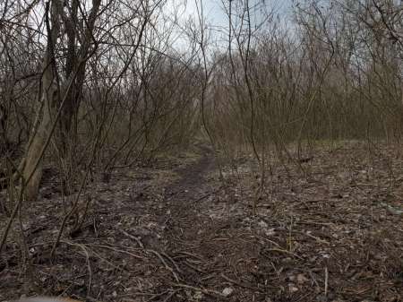 Хмуро и серо, но на рыбалку все равно Хмуро и серо, но на рыбалку все равно