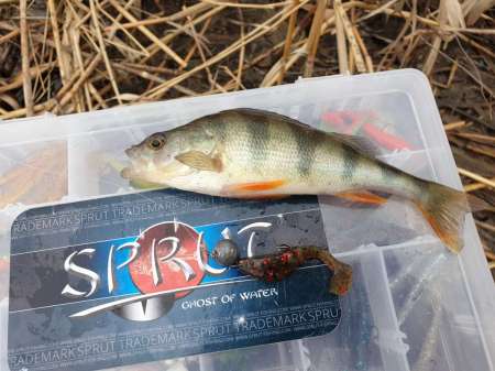 Хмуро и серо, но на рыбалку все равно Хмуро и серо, но на рыбалку все равно