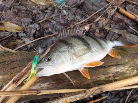 Хмуро и серо, но на рыбалку все равно Хмуро и серо, но на рыбалку все равно