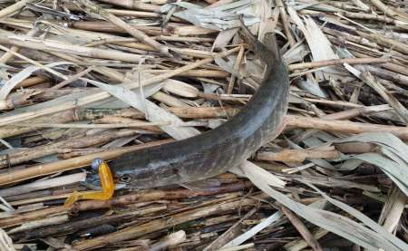 Хмуро и серо, но на рыбалку все равно Хмуро и серо, но на рыбалку все равно
