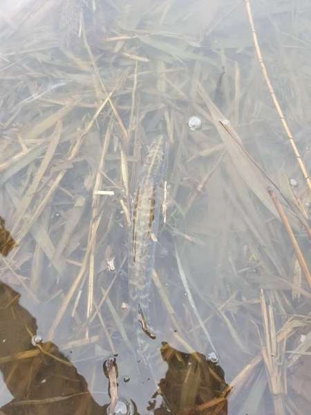 Хмуро и серо, но на рыбалку все равно Хмуро и серо, но на рыбалку все равно