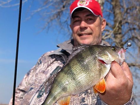 Хвосты оборваты, но щуки пойматы! Хвосты оборваты, но щуки пойматы!