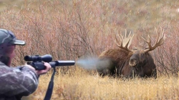 Как охотиться на лося Как охотиться на лося