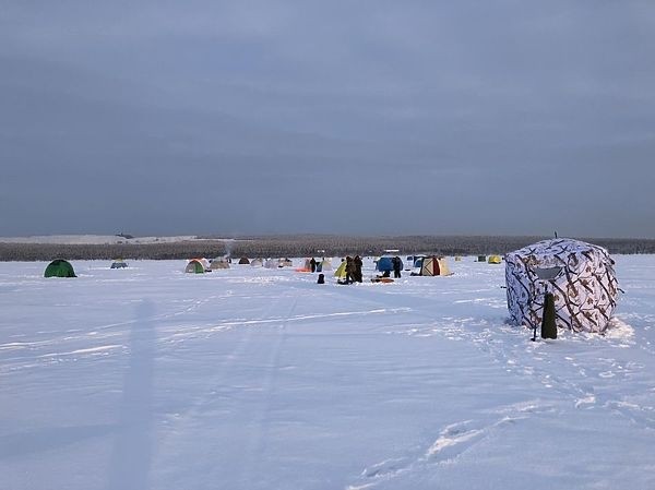Корюшки на Кольском не убывает Корюшки на Кольском не убывает