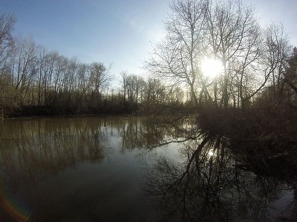 Ловим налимов весной Ловим налимов весной