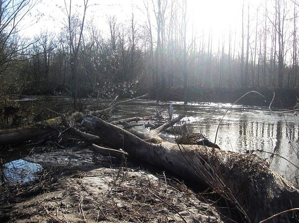 Ловим налимов весной Ловим налимов весной