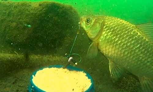 Ловля рыбы на пробку: монтаж снасти, техника ловли, прикормка Ловля рыбы на пробку: монтаж снасти, техника ловли, прикормка