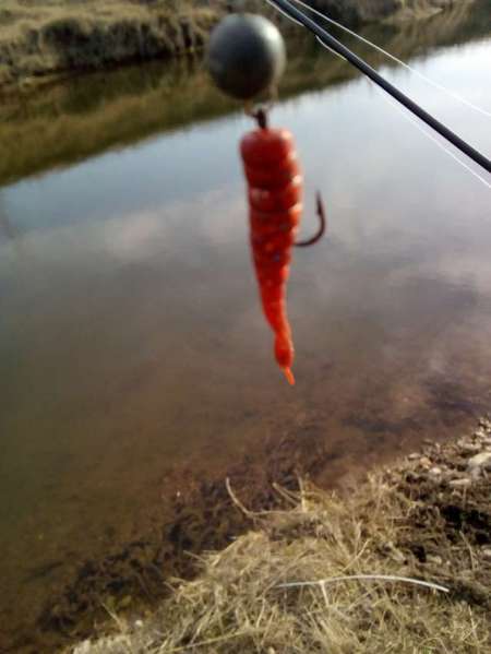 Мартовский голавль