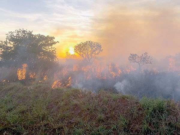 На четвереньках по саванне На четвереньках по саванне