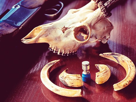 Не по калибру