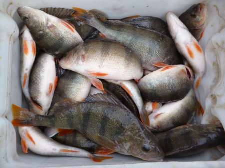 Новая резина в последний день зимы Новая резина в последний день зимы