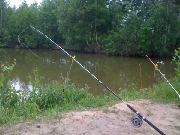 Руководство по ловле леща на донку Руководство по ловле леща на донку