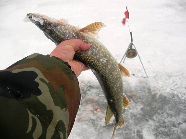Рыбалка накануне весны