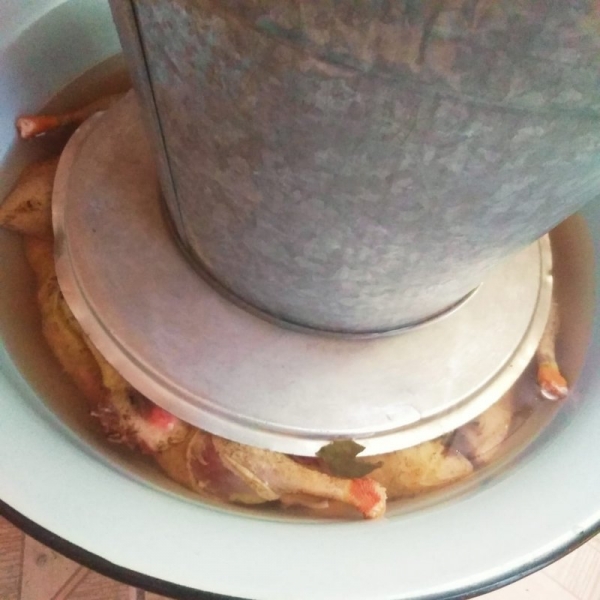 Весна, открытие, 2020 год.