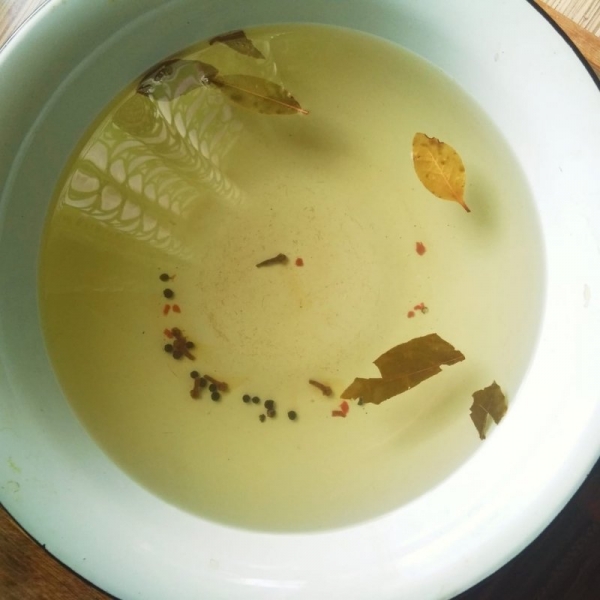 Весна, открытие, 2020 год.