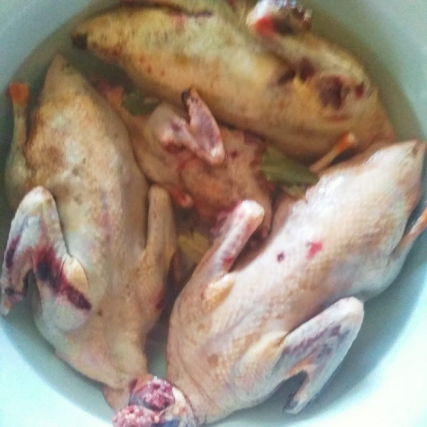 Весна, открытие, 2020 год.