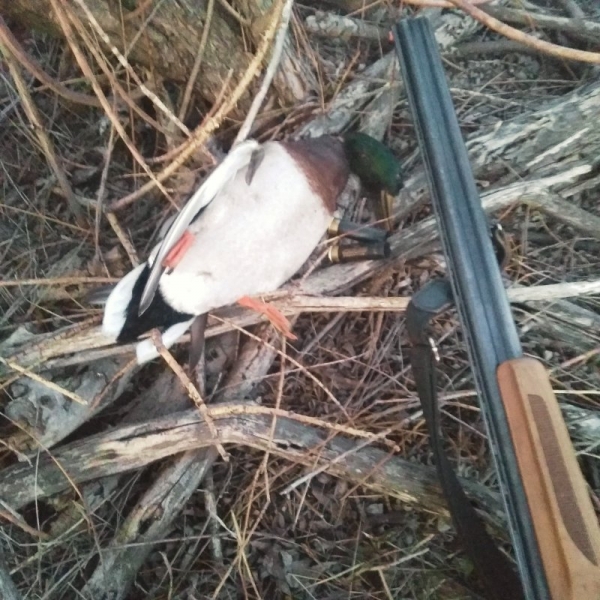 Весна, открытие, 2020 год.