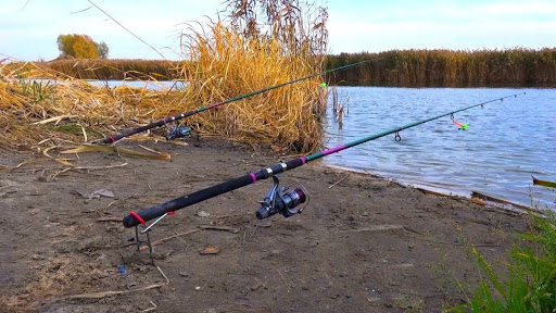 Что делать, если владелец пляжа прогоняет с рыбалки? Имеет ли на это право? Что делать, если владелец пляжа прогоняет с рыбалки? Имеет ли на это право?