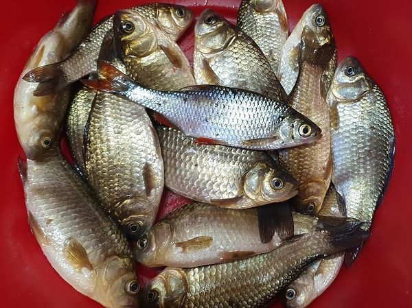 Что такое рыбалка для души?