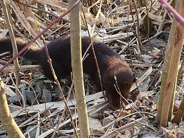 Что такое рыбалка для души?