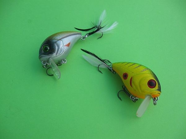 Да ну его, этот коронавирус! Лучше о рыбалке.