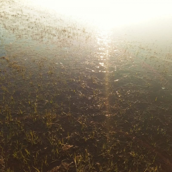 Весна, открытие, 2020 год.