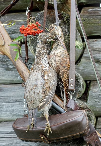 Компактная горизонталка: редкий ИЖ-43 Компактная горизонталка: редкий ИЖ-43