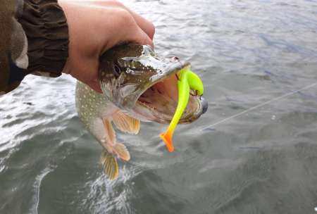 Крупные силиконовые приманки