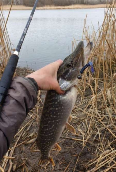 Крупные силиконовые приманки