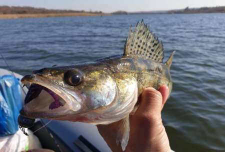 Крупные силиконовые приманки