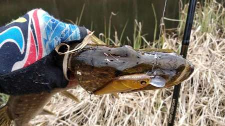 Ловля щуки на воблеры ранней весной