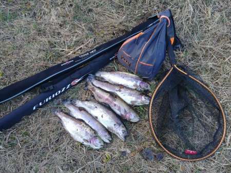 Маленький прудик Маленький прудик