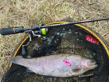 Маленький прудик Маленький прудик