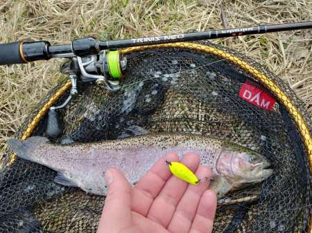 Маленький прудик Маленький прудик