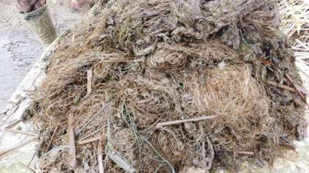 На борьбу с браконьерством вышли рыболовы На борьбу с браконьерством вышли рыболовы