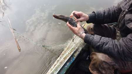 На борьбу с браконьерством вышли рыболовы На борьбу с браконьерством вышли рыболовы