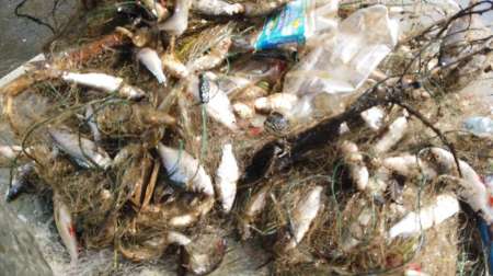 На борьбу с браконьерством вышли рыболовы На борьбу с браконьерством вышли рыболовы