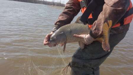 На борьбу с браконьерством вышли рыболовы На борьбу с браконьерством вышли рыболовы