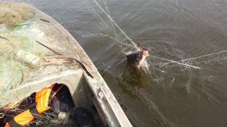 На борьбу с браконьерством вышли рыболовы На борьбу с браконьерством вышли рыболовы