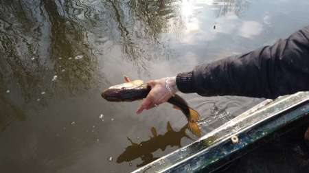 На борьбу с браконьерством вышли рыболовы На борьбу с браконьерством вышли рыболовы