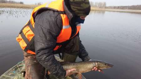 На борьбу с браконьерством вышли рыболовы На борьбу с браконьерством вышли рыболовы