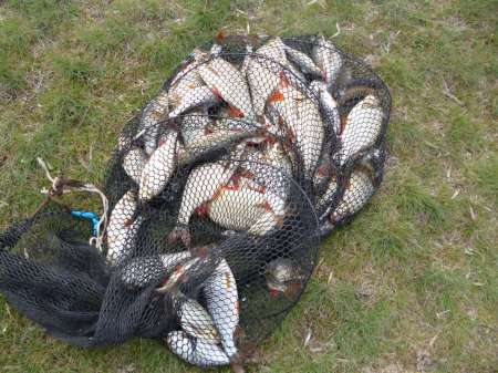 Новая удочка Новая удочка