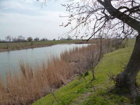 Новая удочка Новая удочка