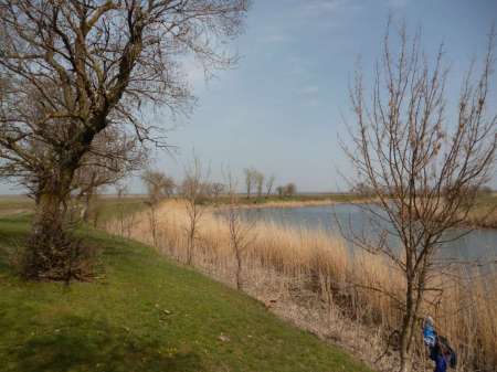 Новая удочка Новая удочка