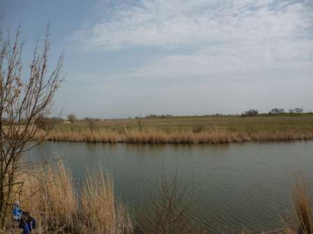 Новая удочка Новая удочка