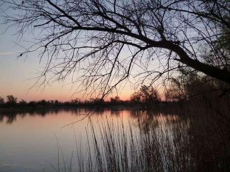 Опять за карасем