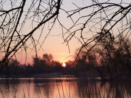 Опять за карасем